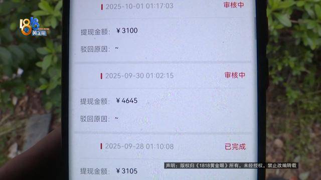 买了66台苹果手机总价50多万！男子放在平台出租，如今租金拿不到，手机也要不回来
