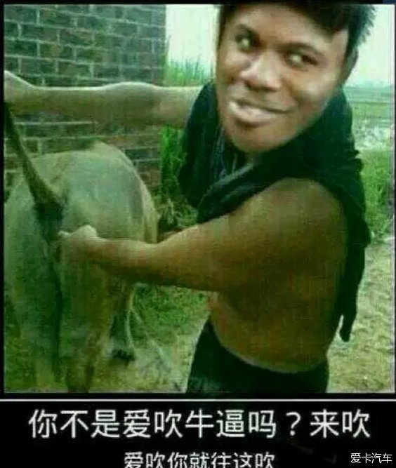 吹牛币(吹牛币价格)