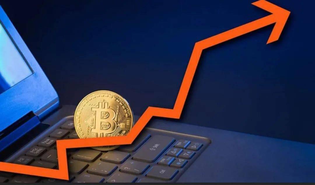 特币etf(马斯克比特币)