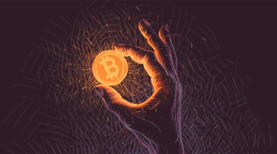 每日币圈(币圈每日快讯)