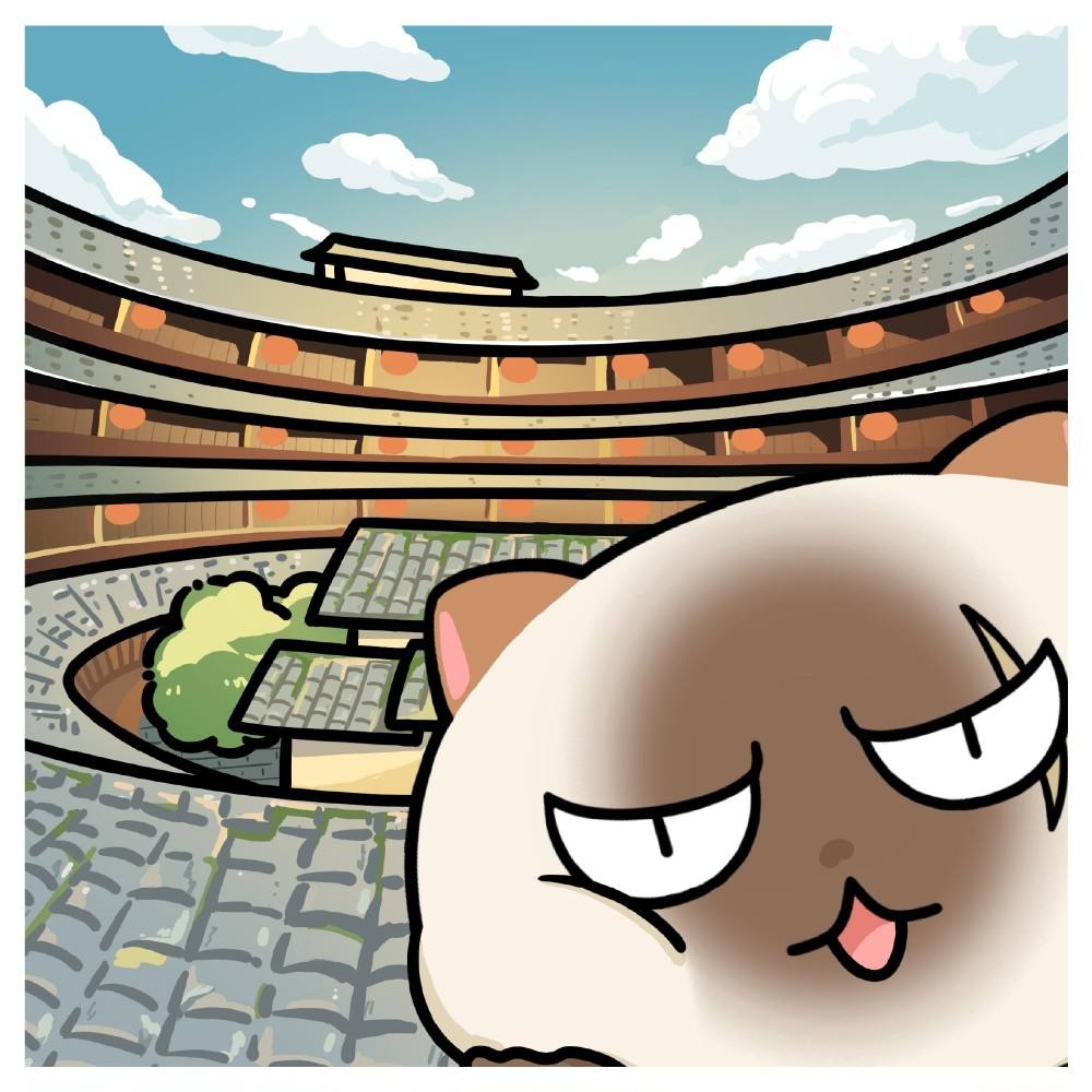 喵喵币(喵喵币是什么东西)