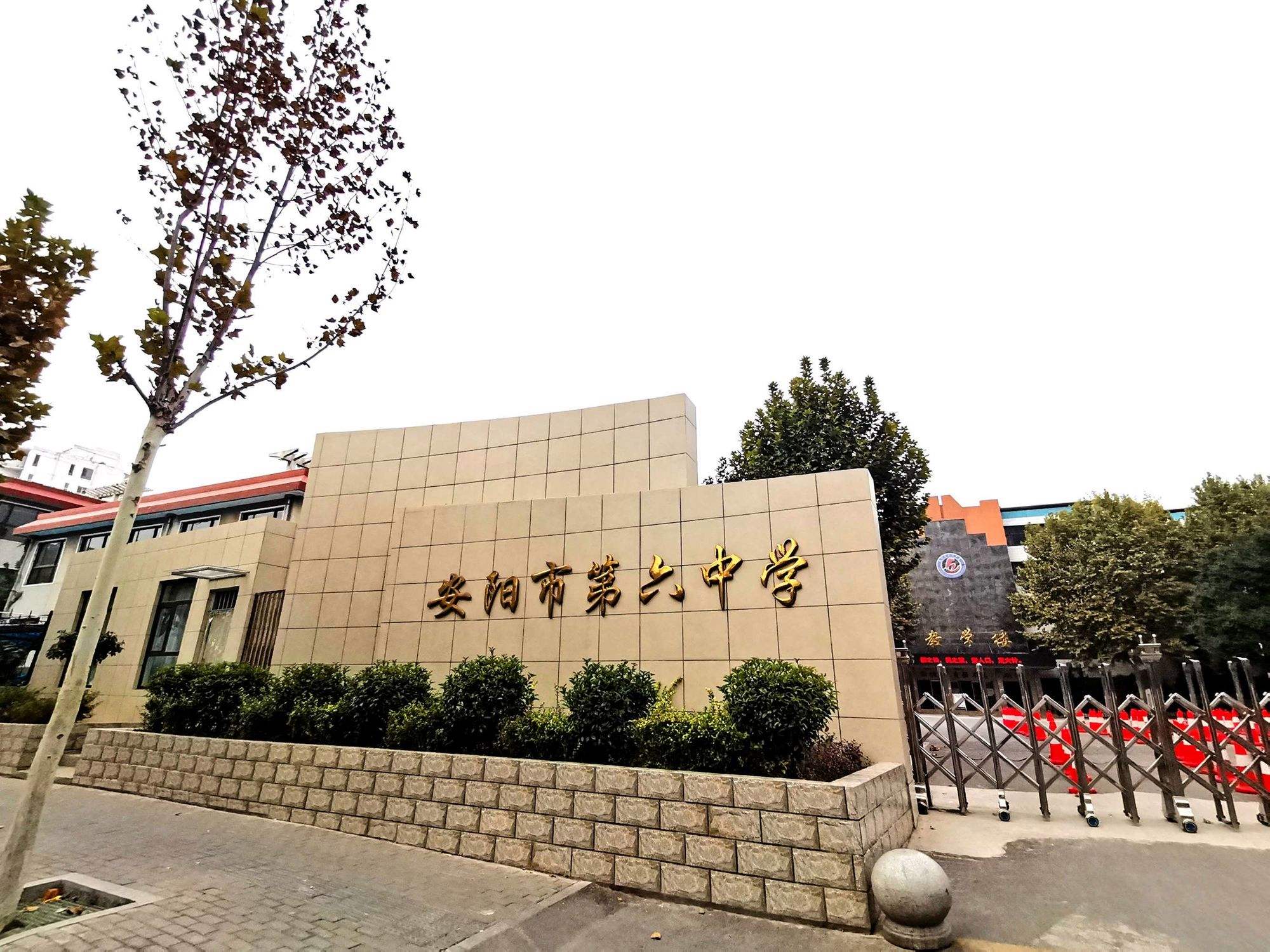 安阳币(安阳币值多少钱)