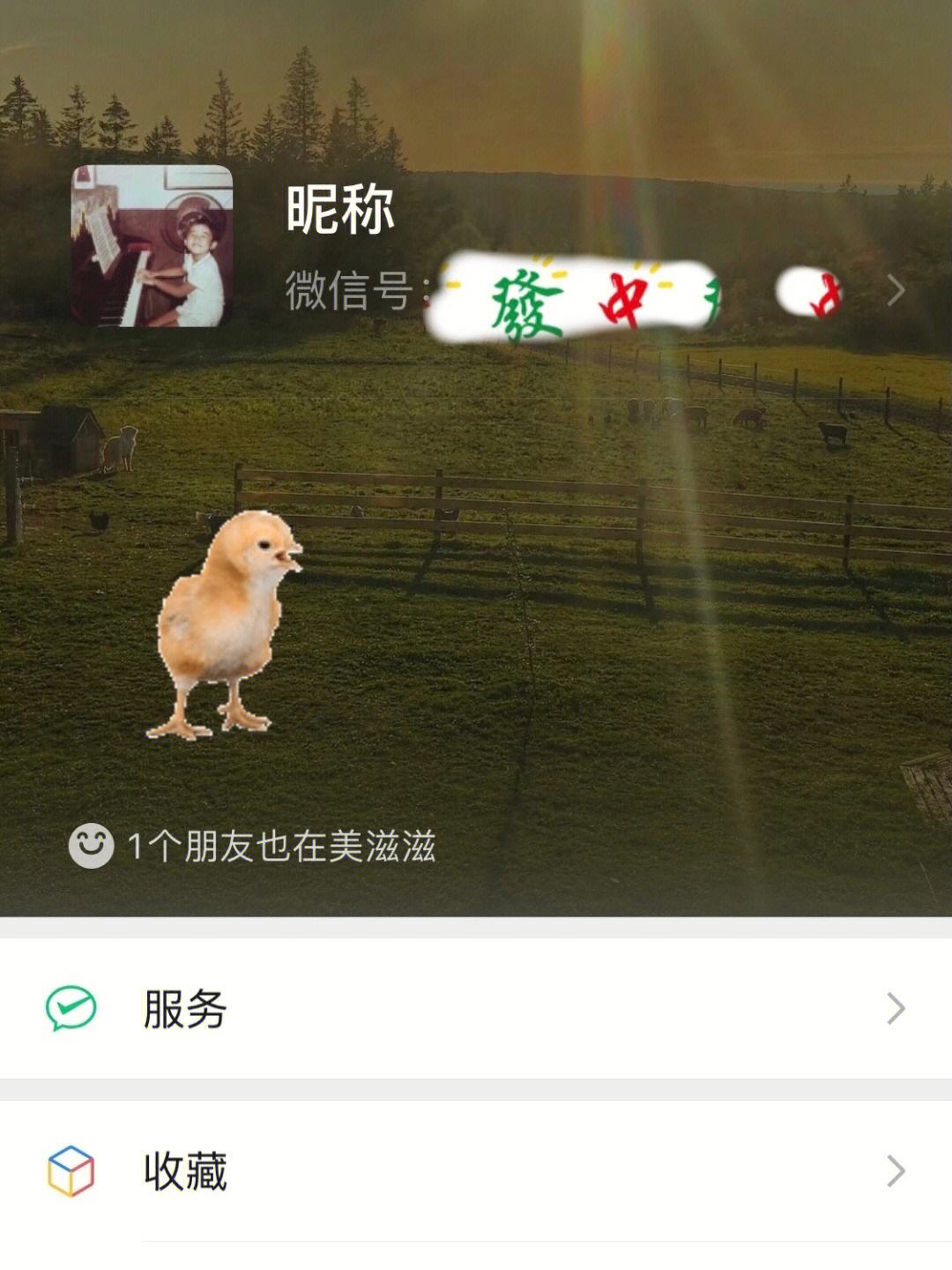 微爱农场彩虹币(微爱农场彩虹币辅助器)