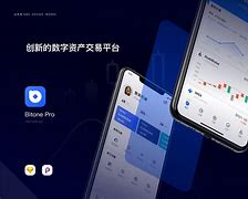 币通指数(币通app下载)