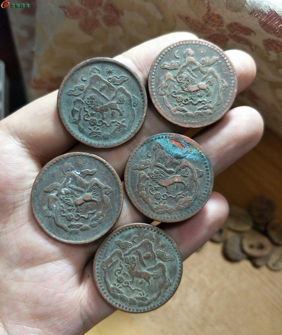 舍币(舍币成语大状元)