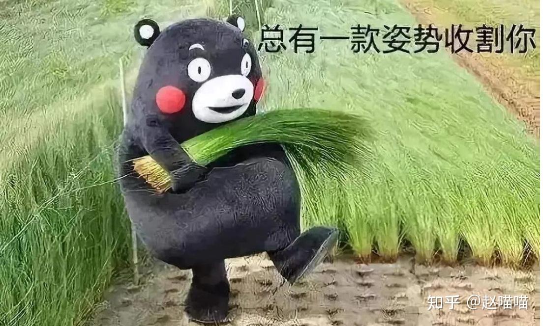 炒币真没意思(炒币真的能挣钱吗)