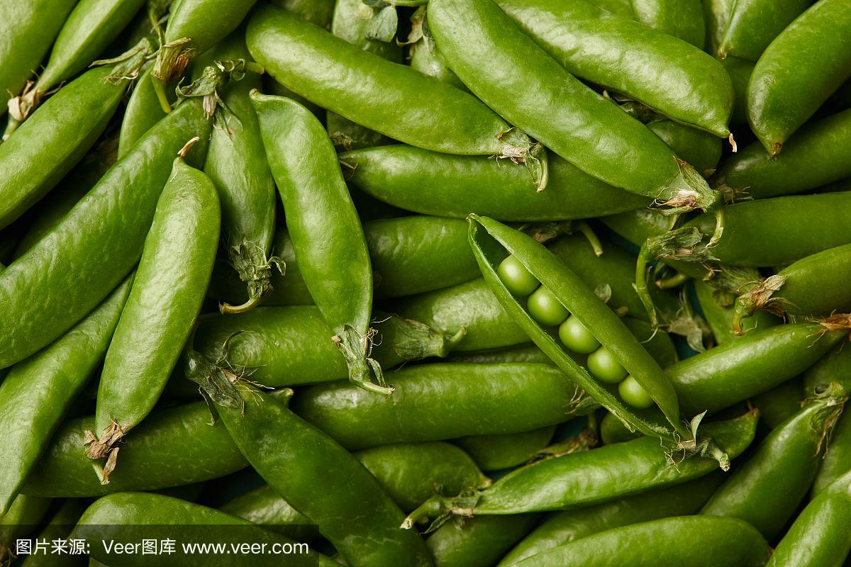 豌豆币(豌豆币是什么)