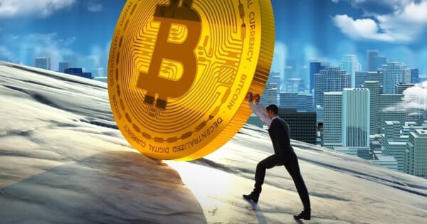 btc网络(BTC网络节点)