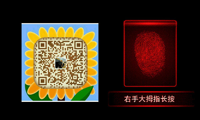 24MEX(24MEX登陆)