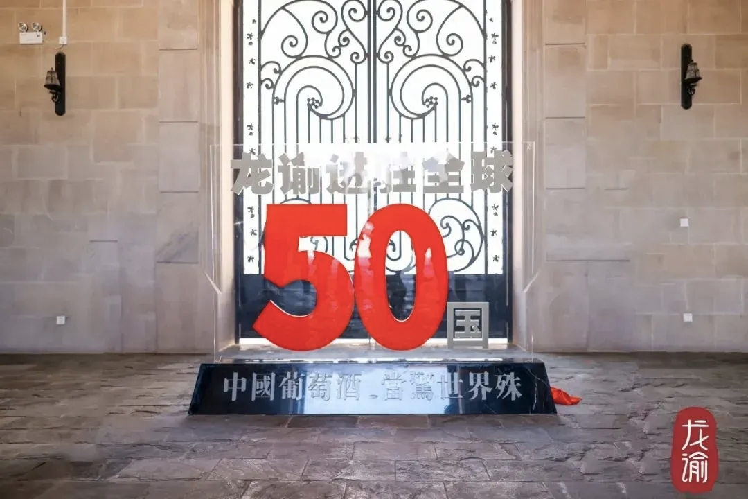 币谷pro(我在09年买了1000个比特币)