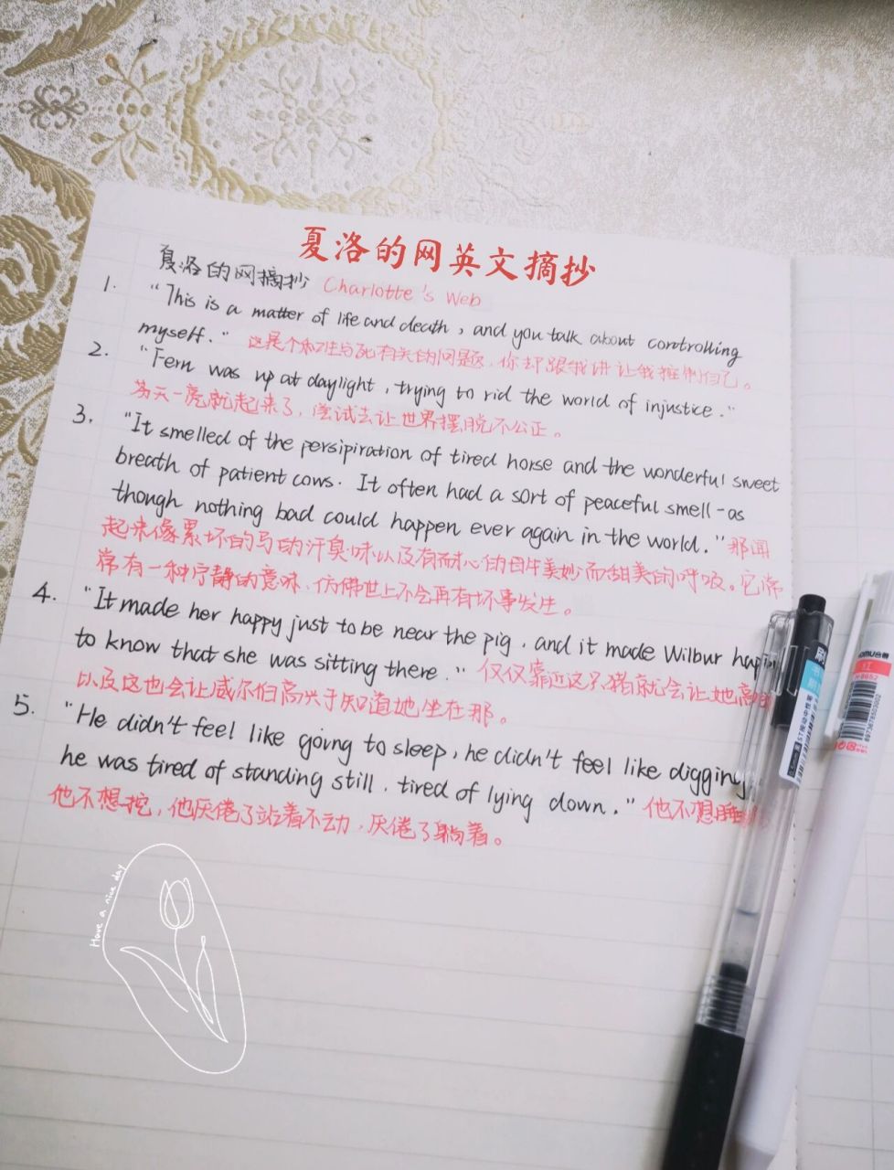 S网的简单介绍