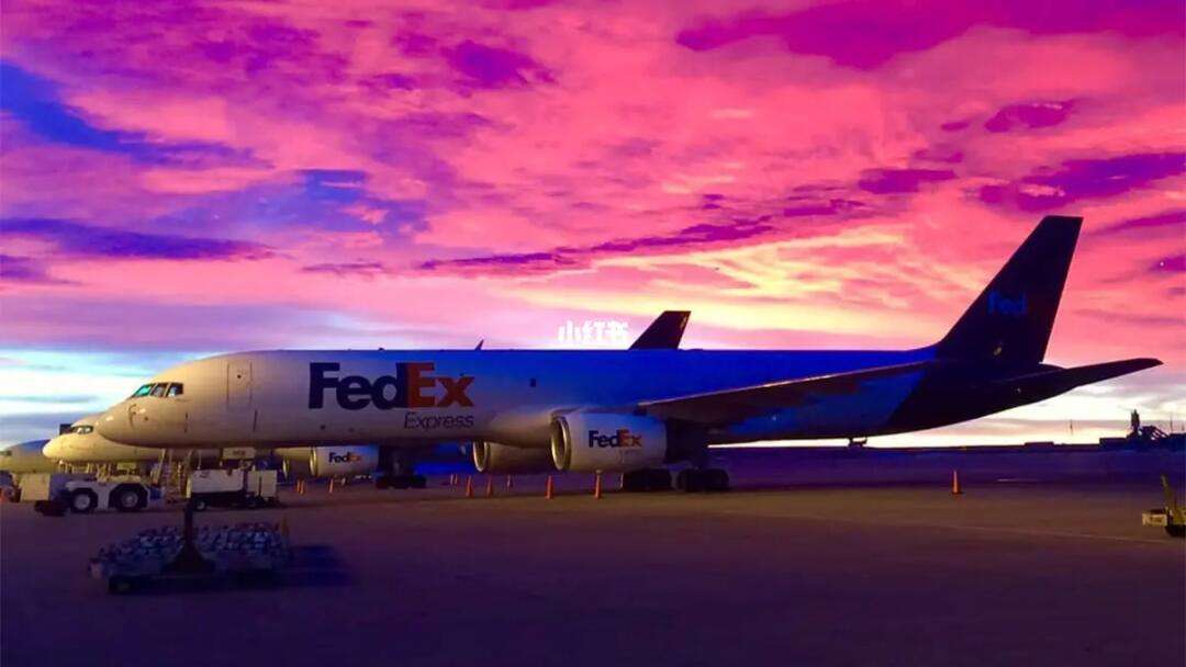 FEex(fedex是什么意思)
