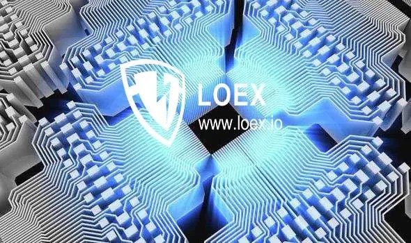 LOEX(LOE系列第五季)