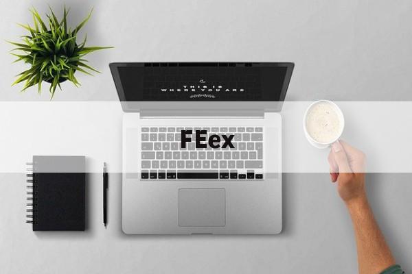 FEex(fedex国际快递客服电话)